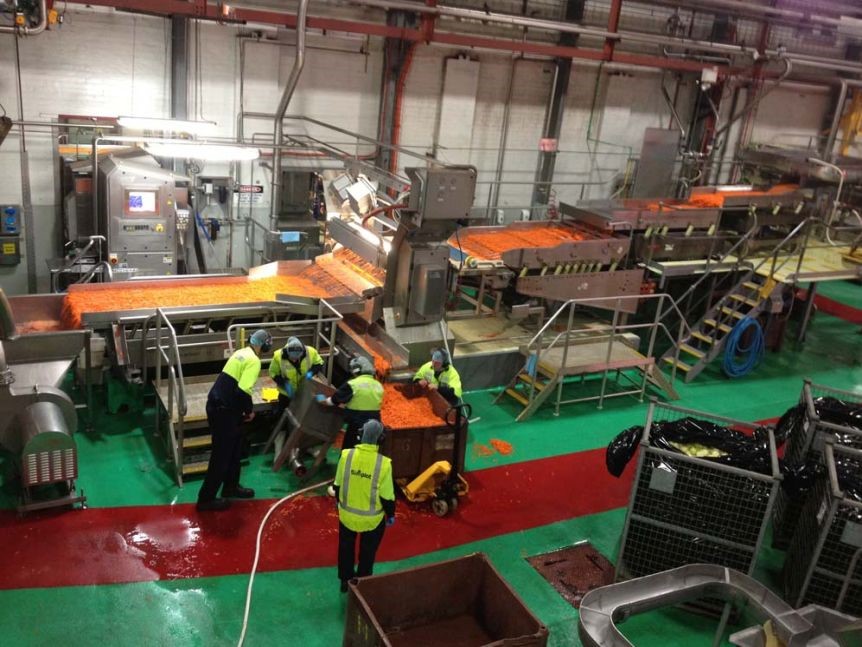 Hydraulic cylinders for food processing facilities